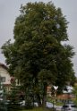 DSC04887